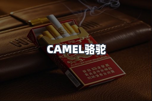 CAMEL骆驼